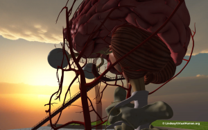 Giant Walk-through Brain